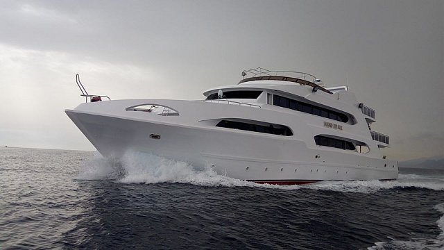 EGYPT SEVER - SAFARI DUBEN 2019 - DIAMOND EXPLORER