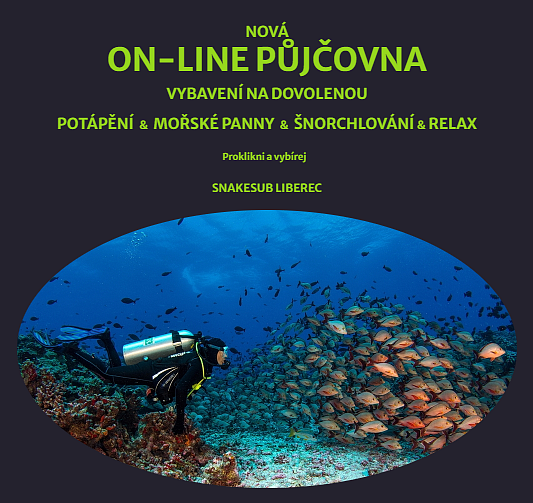 ON-LINE PŮJČOVNA SNAKESUB