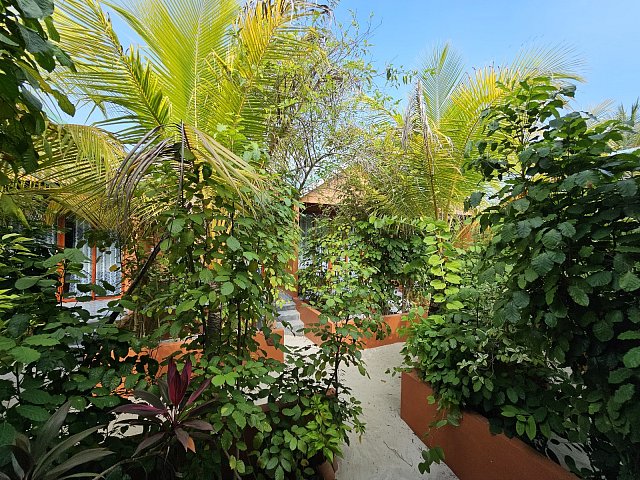 BEACH SUITES - ZAHRADA PŘED POKOJI