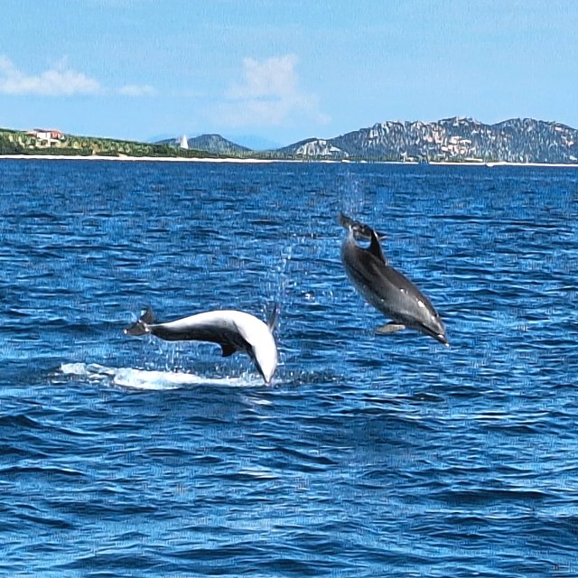 2024 - Pakoštane - Chorvatsko - potápění i MOŘSKÉ PANNY