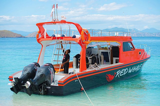redwhale-speedboat-komodo-dive-center-1.jpg